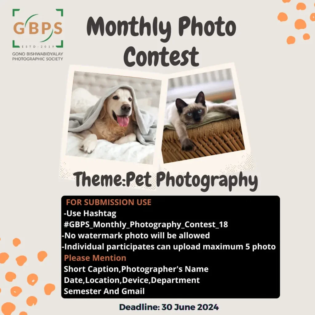 Pet Photography